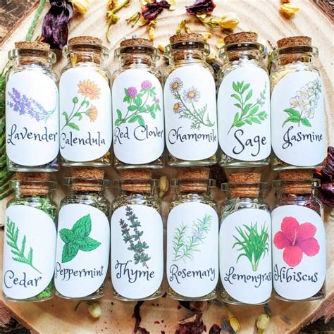 Small Herb Bottles