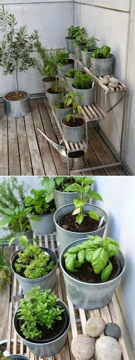 Small Herb Garden Containers