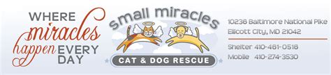 small miracles animal shelter