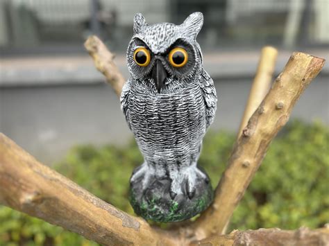 Small Owl Decoy