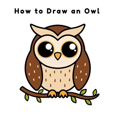 Small Owl Drawing