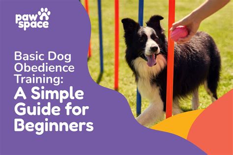 Small Pet Obedience Training