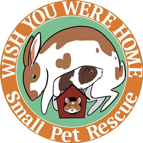 Small Pet Rescue Austin