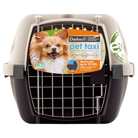 Small Pet Taxi