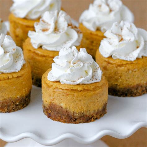 small pumpkin cheesecake recipe