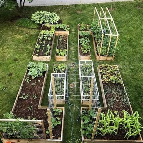 Small Raised Bed Vegetable Garden Layout