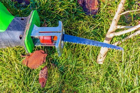 Small Saw For Cutting Tree Branches