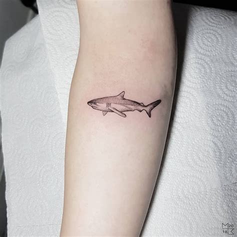 The Best Small Shark Tattoo Designs References