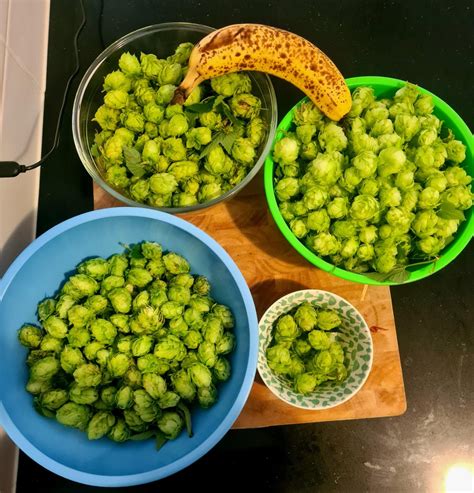 Real Art. Raw Bodies. Unseen by Many: Meet Nude Korean Models!