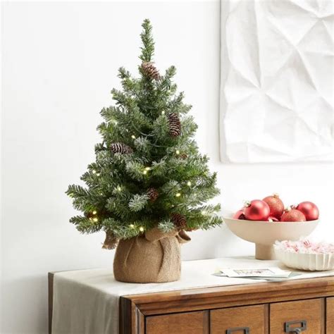 Small Tabletop Real Christmas Tree