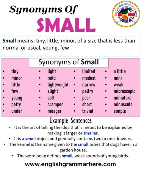 Small Things Synonyms English