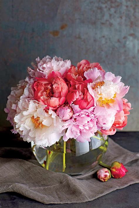 Small Vase With Peonies