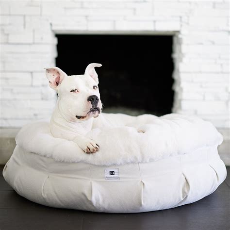 Small White Dog Beds
