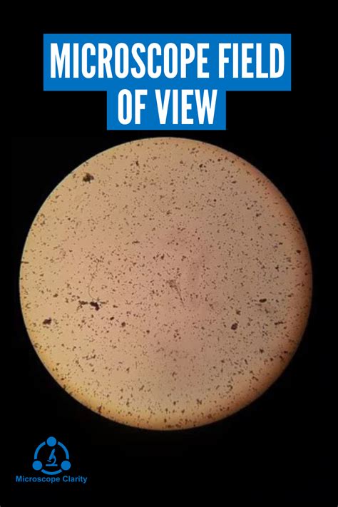 Smallest Field Of View Microscope