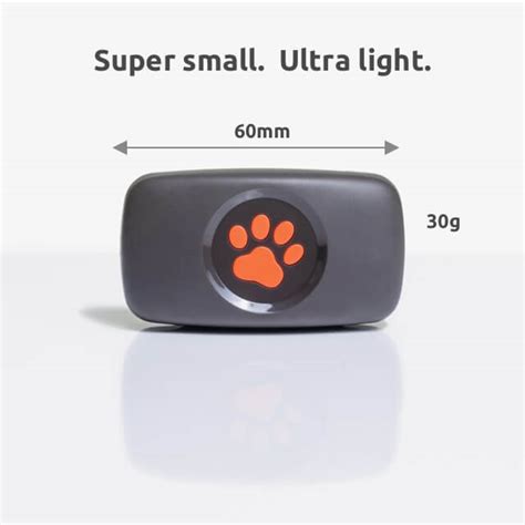 smallest gps dog tracker