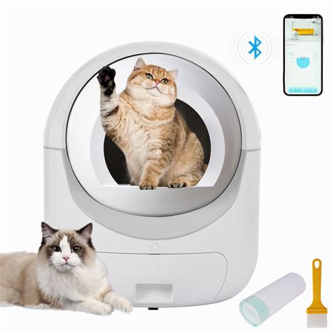 Smart Cat Litter Bugs