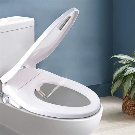 smart toilet with bidet