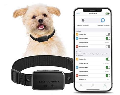 Smart Training Collar