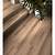 smartcore rustic hickory 5 5 mm luxury vinyl plank flooring 5 0 in w x 48 03 in l