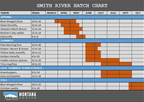 smith leak hatch