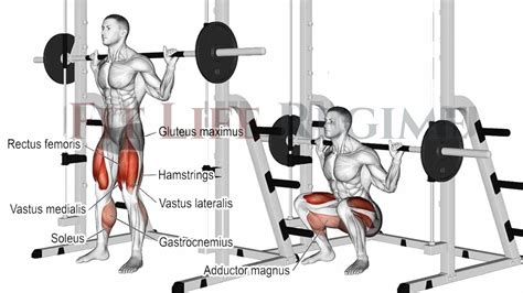 Smith Machine Exercises Legs