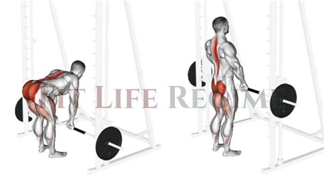 Smith Machine Hamstring Exercises