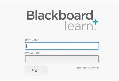 smu blackboard login student