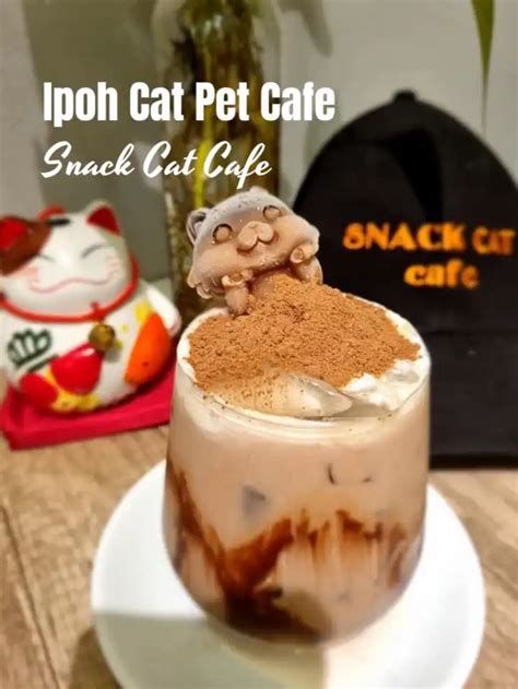 Snack Cat Cafe Ipoh