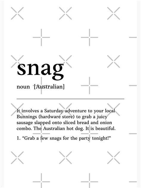 Snag Definition Slang