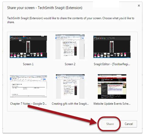 snagit plugin chrome