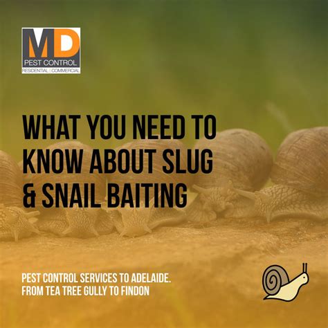 Snail And Slug Baiting Guidelines