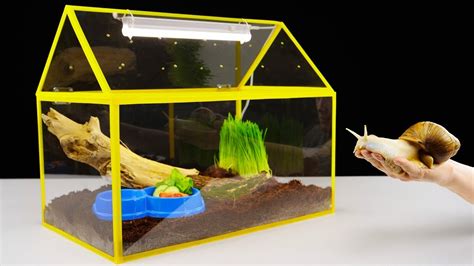 Snail Pet House