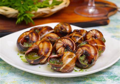 Snails In Dish