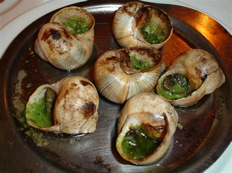 Snails With Food