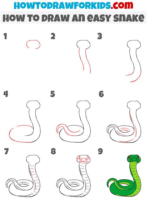 How to Draw a Snake printable step by step drawing sheet