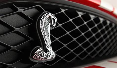 Snake Logo For Car