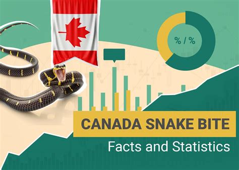 5 Things snake bite statistics canada protect your beloved pets