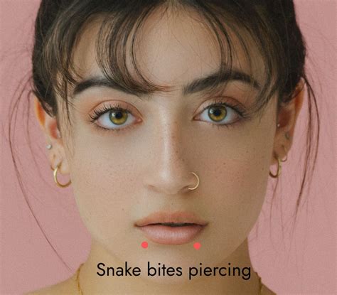 snake bites piercing cost