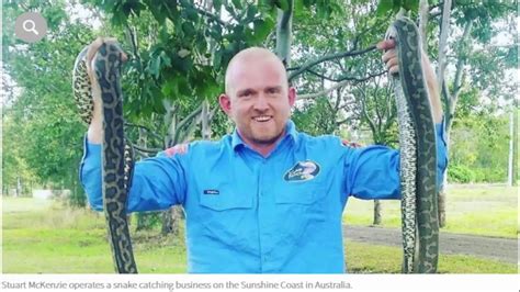 Snake Catcher Licence