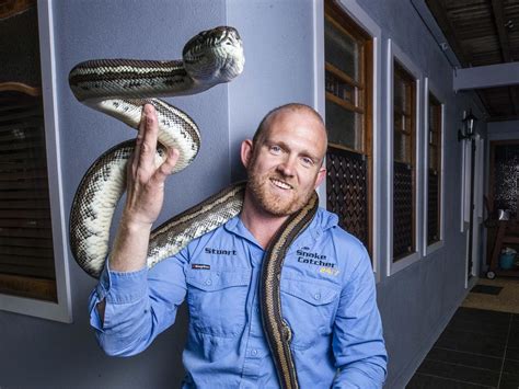 snake catcher sunshine coast