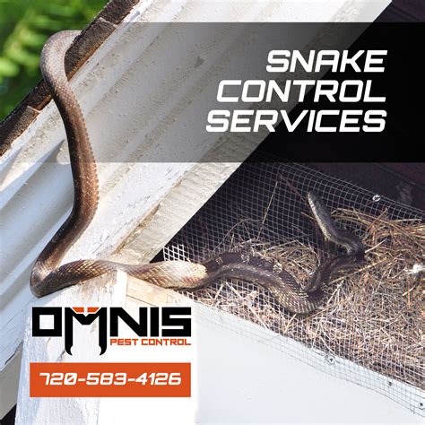 snake control services near me reviews