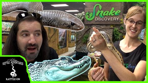 snake discovery videos