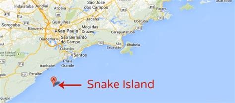 snake island brazil map