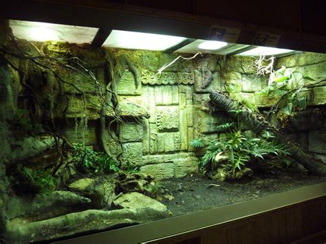 snake life plants terrarium and substrate