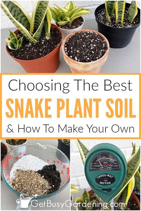 snake plant soil recipe