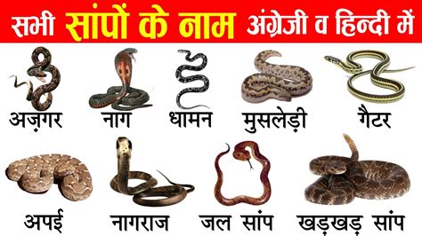 snake venom meaning in hindi
