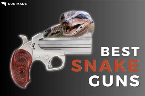 Snake With Gun