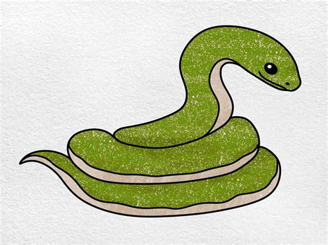 Snake Drawing Introduction