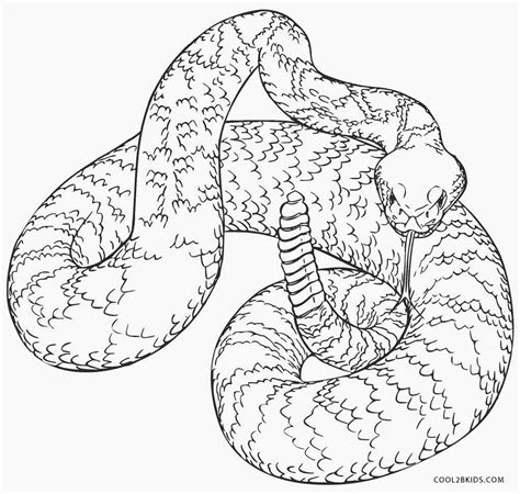 snakes coloring pages printable printable template