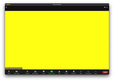 Snap Camera Yellow Screen Mac